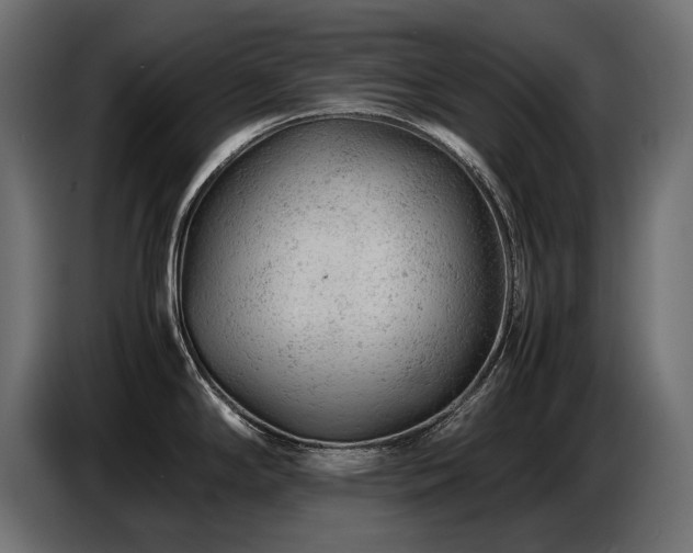 X0000087671294200705041004