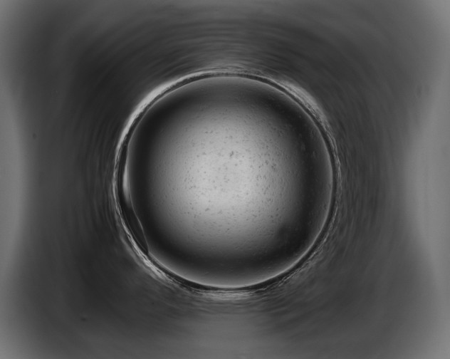 X0000087671296200705041004