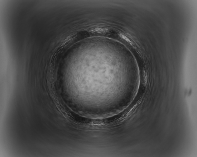 X0000087671297200705041003