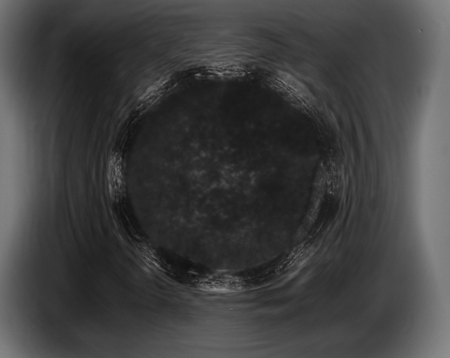 X0000087671298200705041003