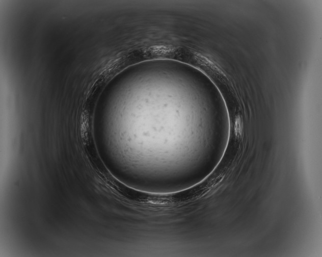 X0000087671299200705041003