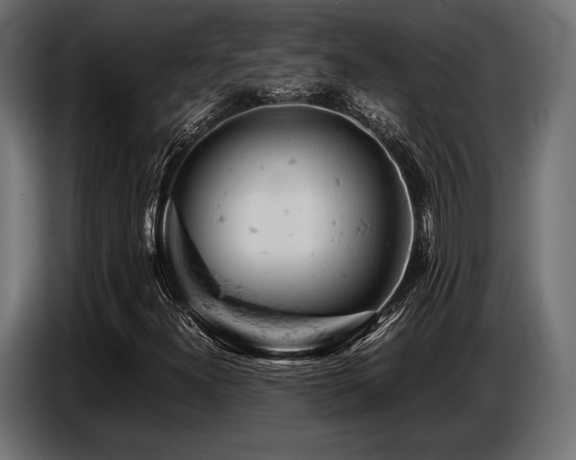 X0000087671300200705041003