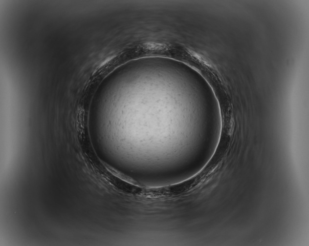 X0000087671301200705041003