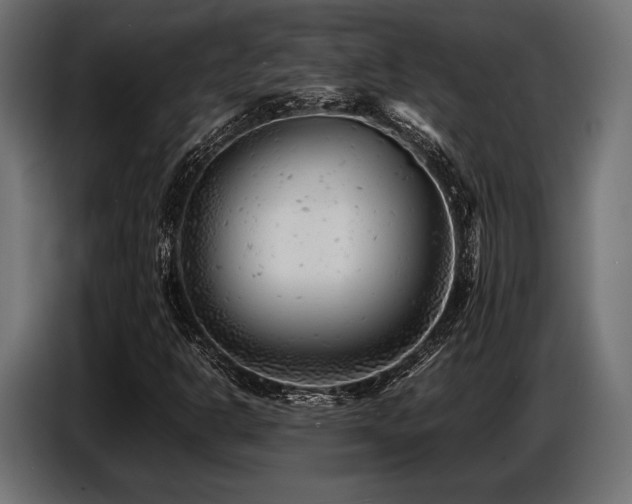 X0000087671302200705041003