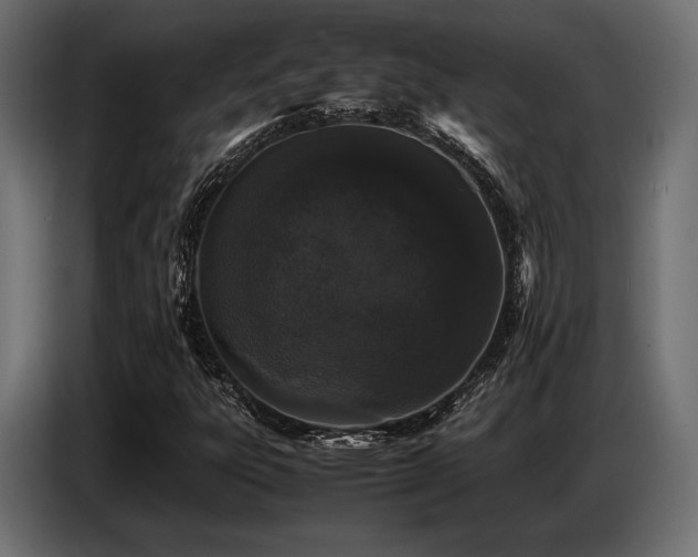 X0000087671303200705041003