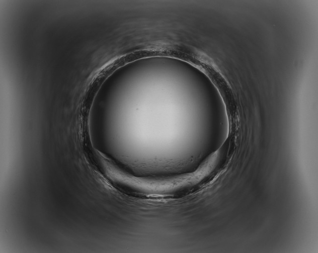 X0000087671304200705041003