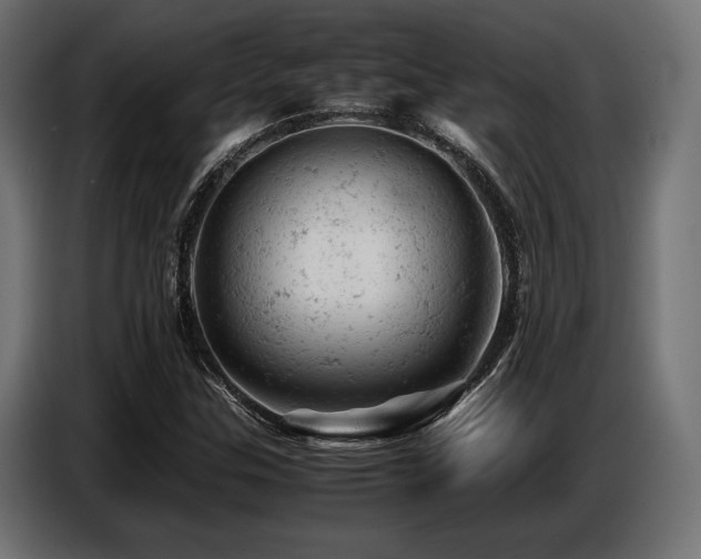 X0000087671307200705041003