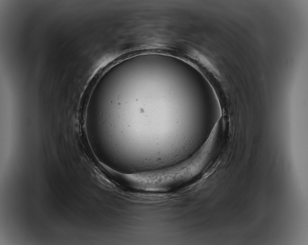 X0000087671308200705041003