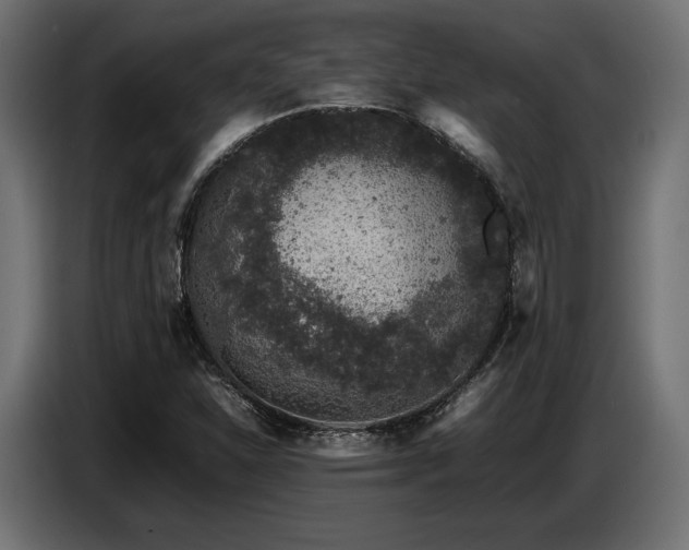 X0000087671310200705041003