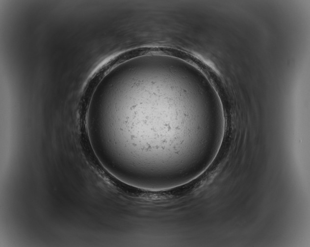 X0000087671311200705041003