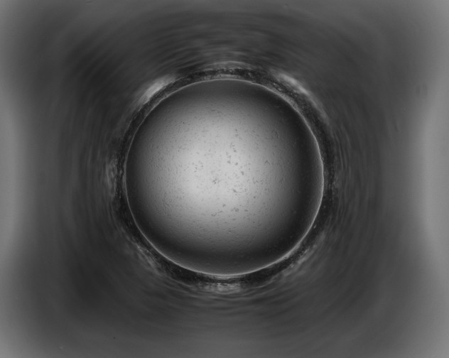 X0000087671313200705041003