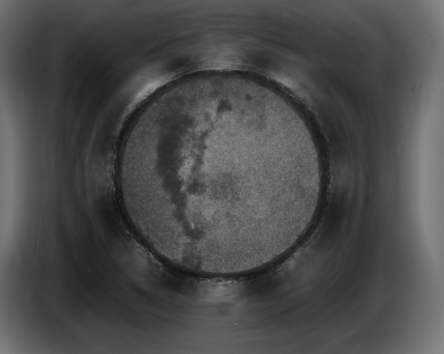 X0000087671314200705041003