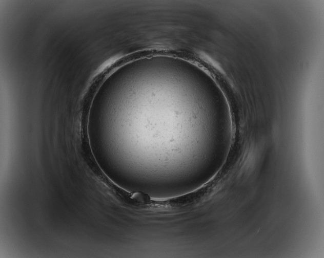 X0000087671315200705041003