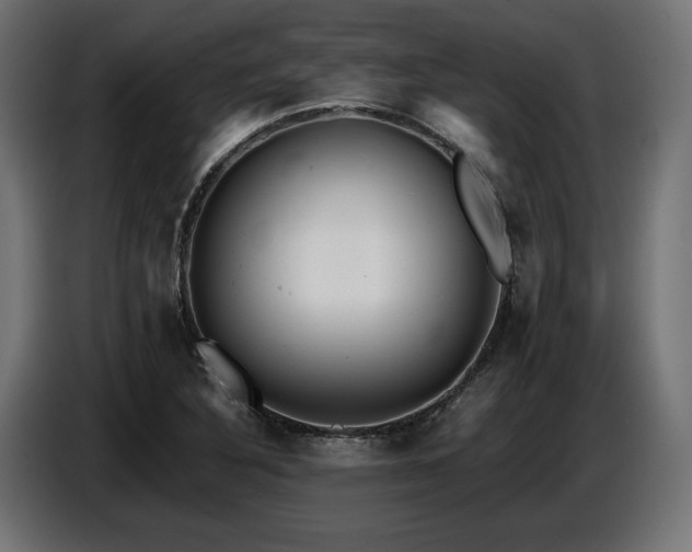 X0000087671316200705041003