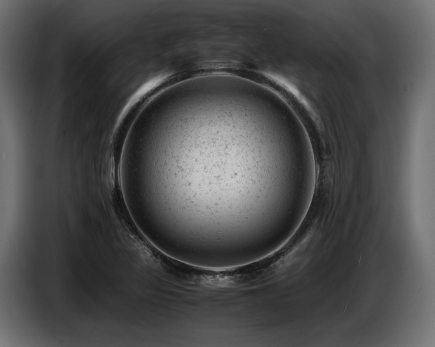 X0000087671317200705041003