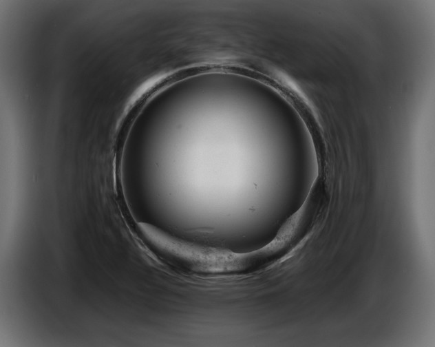 X0000087671320200705041003