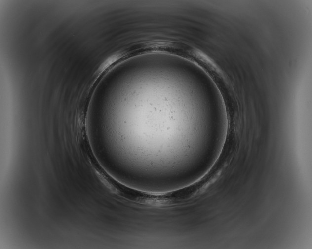 X0000087671321200705041003