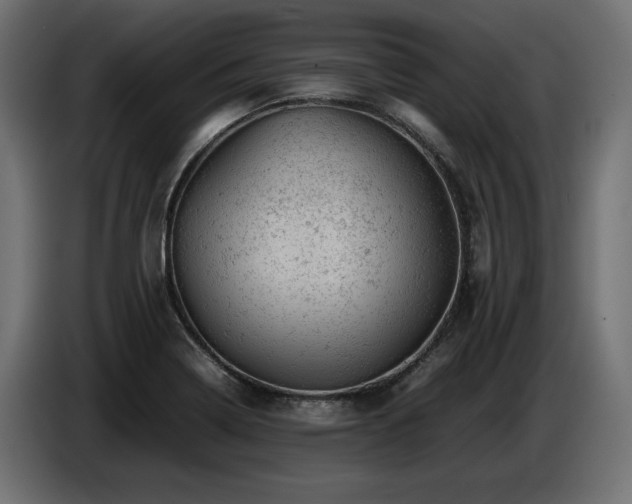 X0000087671322200705041003