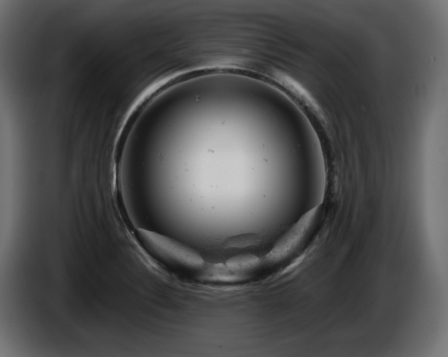 X0000087671324200705041003