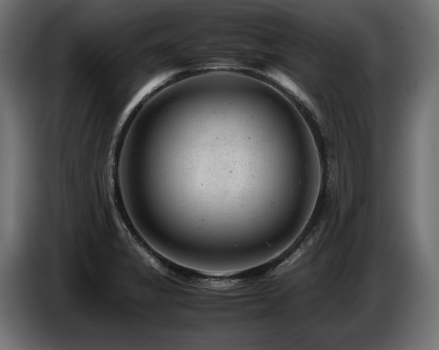 X0000087671325200705041003