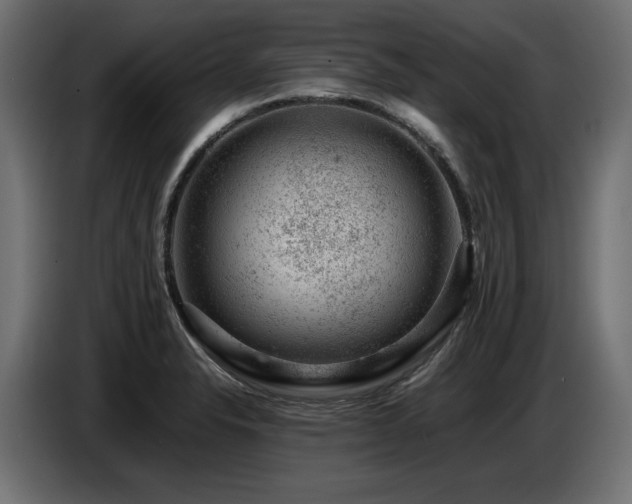 X0000087671326200705041003