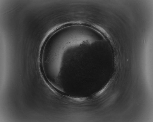 X0000087671327200705041003