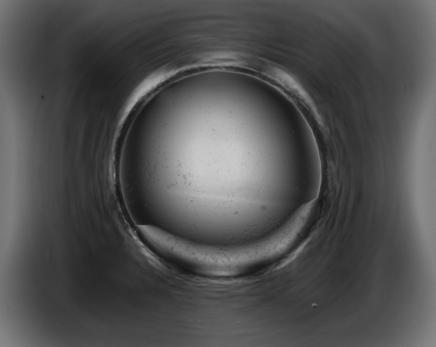 X0000087671328200705041003