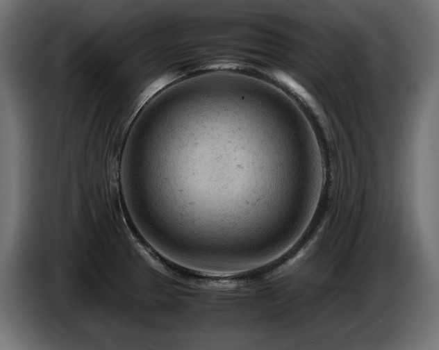 X0000087671329200705041003