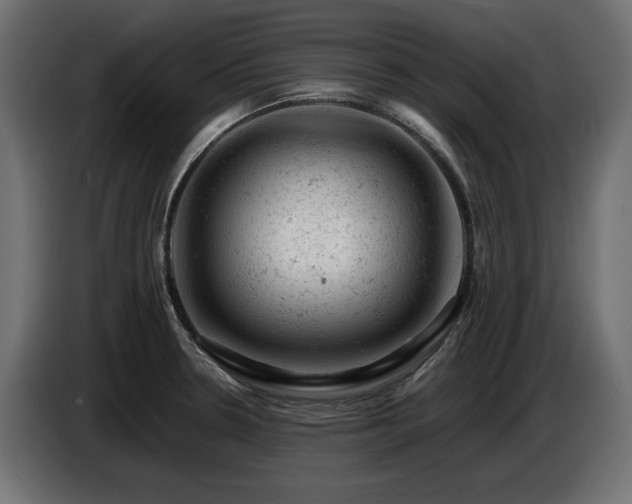 X0000087671330200705041003