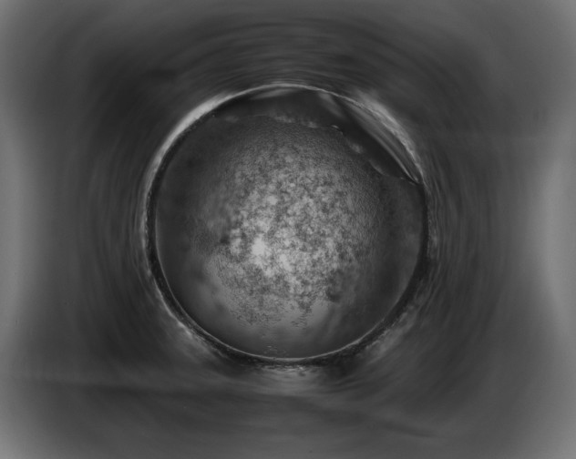X0000087671331200705041003
