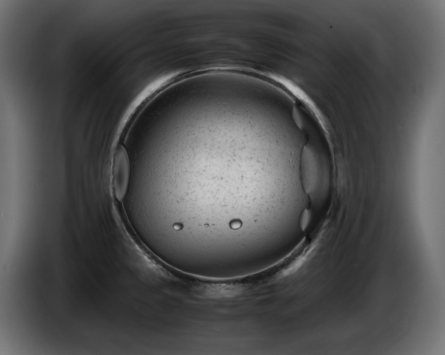 X0000087671333200705041003