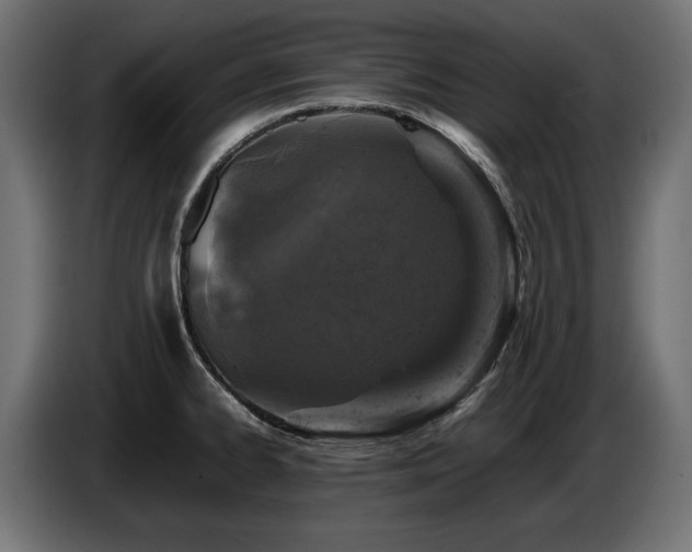 X0000087671334200705041003