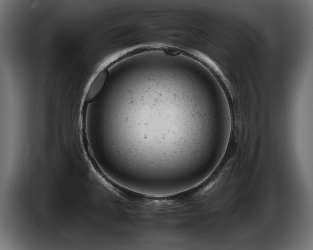 X0000087671335200705041003