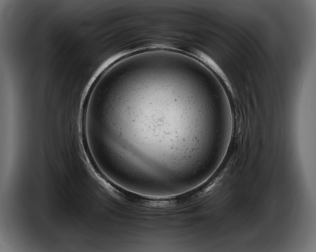 X0000087671339200705041003