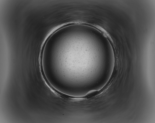 X0000087671343200705041003