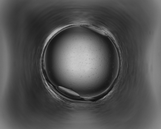 X0000087671344200705041004