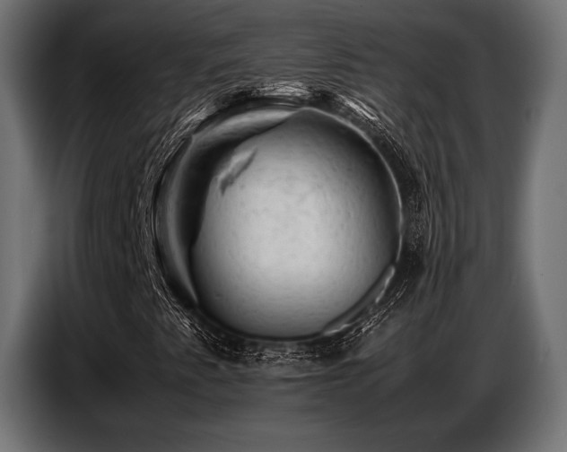 X0000087671345200705041003