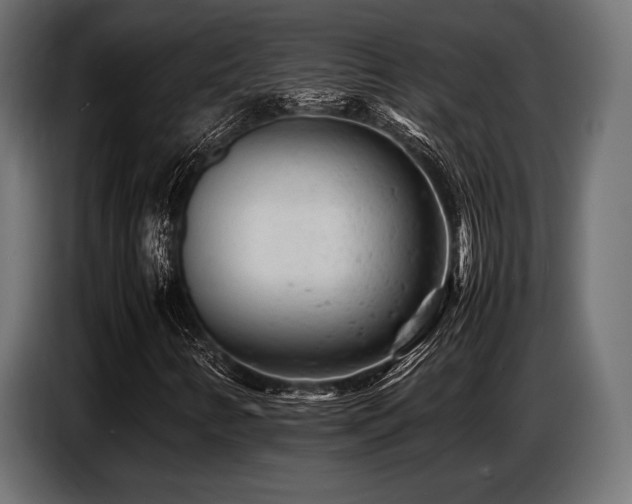 X0000087671346200705041003