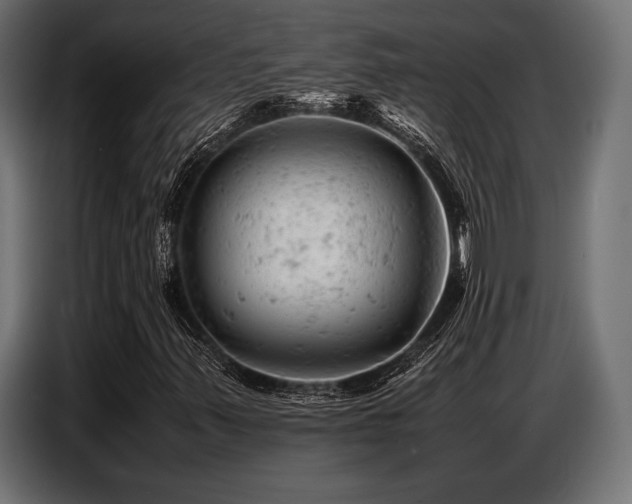 X0000087671347200705041003