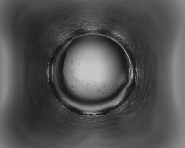 X0000087671348200705041003