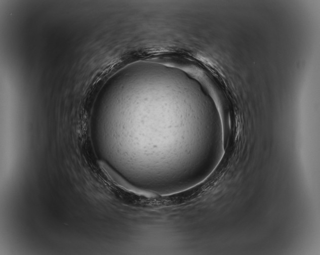 X0000087671349200705041003