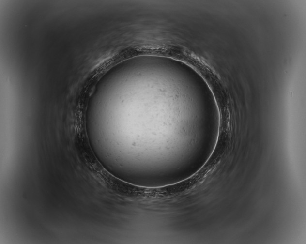 X0000087671350200705041003