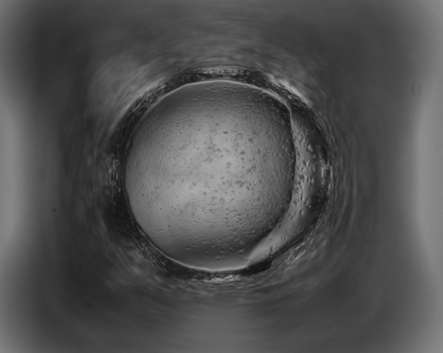 X0000087671351200705041003