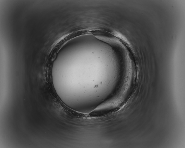 X0000087671352200705041003