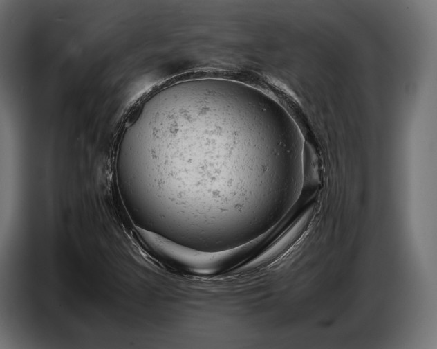 X0000087671355200705041003