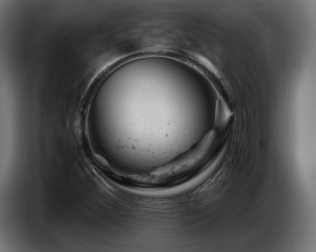 X0000087671356200705041003