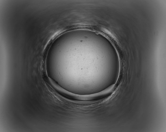 X0000087671357200705041003