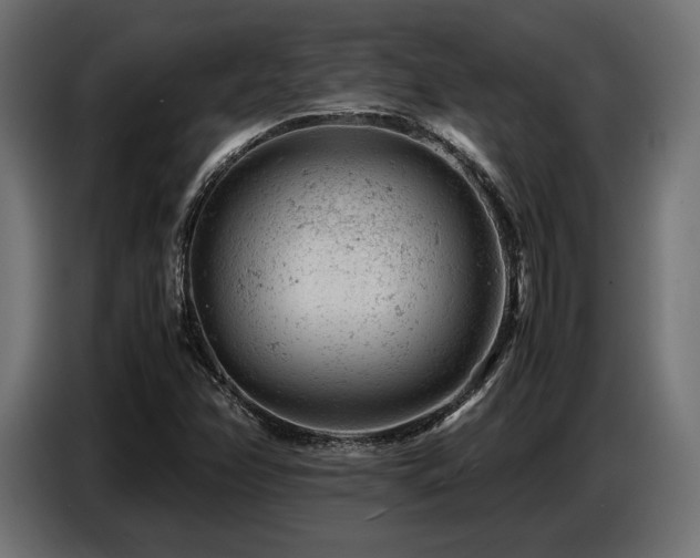 X0000087671358200705041003