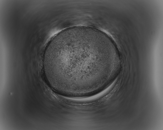 X0000087671359200705041003