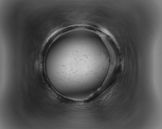 X0000087671360200705041003